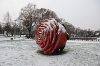 Die größte Rose, die sogar unter einer Schneedecke blüht, gibt es nur in der Berg- und Rosenstadt Sangerhausen. Bild: Die größte Rose, die sogar unter einer Schneedecke blüht, gibt es nur in der Berg- und Rosenstadt Sangerhausen.