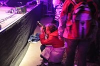 Bild: Konzert Keimzeit in Nordhausen