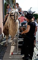 Bild: Mittelalter in Bad Langesalza