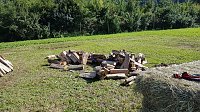 Köhlertage an der Arche Nebra Bild: Köhlertage an der Arche Nebra