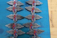 Leistungsspange von jungen Feuerwehrleuten erkämpft Bild: Leistungsspange von jungen Feuerwehrleuten erkämpft