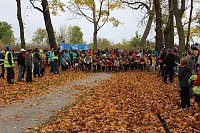 24. Stadtparklauf in Sondershausen (1) Bild: 24. Stadtparklauf in Sondershausen (1)