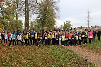 24. Stadtparklauf in Sondershausen (1) Bild: 24. Stadtparklauf in Sondershausen (1)
