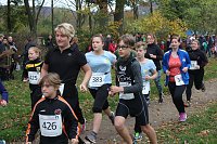 24. Stadtparklauf in Sondershausen (1) Bild: 24. Stadtparklauf in Sondershausen (1)
