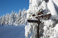 Wandern und Fotografieren Bild: Wandern und Fotografieren