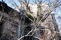 Alte Mühle in Jeßnitz Bild: Alte Mühle in Jeßnitz
