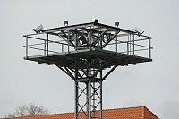 Tag der offenen Tür bei der Landespolizeiinspektion NOrdhausen Bild: Tag der offenen Tür bei der Landespolizeiinspektion NOrdhausen