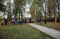 Stadtparklauf in Sondershausen (2) Bild: Stadtparklauf in Sondershausen (2)