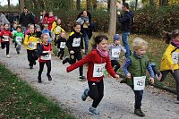 Stadtparklauf in Sondershausen (2) Bild: Stadtparklauf in Sondershausen (2)