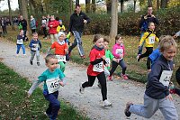 Stadtparklauf in Sondershausen (2) Bild: Stadtparklauf in Sondershausen (2)