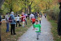 Stadtparklauf in Sondershausen (2) Bild: Stadtparklauf in Sondershausen (2)