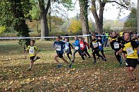 Stadtparklauf in Sondershausen (2) Bild: Stadtparklauf in Sondershausen (2)