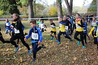 Stadtparklauf in Sondershausen (2) Bild: Stadtparklauf in Sondershausen (2)