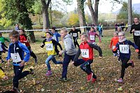 Stadtparklauf in Sondershausen (2) Bild: Stadtparklauf in Sondershausen (2)