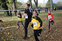 Stadtparklauf in Sondershausen (2) Bild: Stadtparklauf in Sondershausen (2)