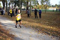 Stadtparklauf in Sondershausen (2) Bild: Stadtparklauf in Sondershausen (2)