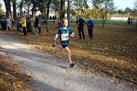 Stadtparklauf in Sondershausen (2) Bild: Stadtparklauf in Sondershausen (2)