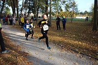 Stadtparklauf in Sondershausen (2) Bild: Stadtparklauf in Sondershausen (2)