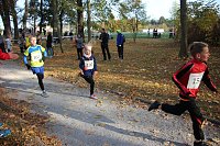 Stadtparklauf in Sondershausen (2) Bild: Stadtparklauf in Sondershausen (2)