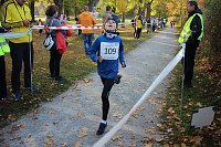 Stadtparklauf in Sondershausen (2) Bild: Stadtparklauf in Sondershausen (2)