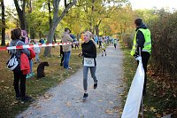 Stadtparklauf in Sondershausen (2) Bild: Stadtparklauf in Sondershausen (2)