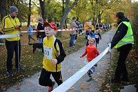 Stadtparklauf in Sondershausen (2) Bild: Stadtparklauf in Sondershausen (2)