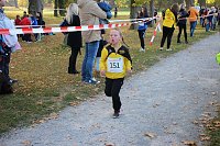 Stadtparklauf in Sondershausen (2) Bild: Stadtparklauf in Sondershausen (2)