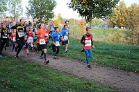 Stadtparklauf in Sondershausen (2) Bild: Stadtparklauf in Sondershausen (2)