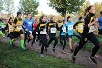 Stadtparklauf in Sondershausen (2) Bild: Stadtparklauf in Sondershausen (2)