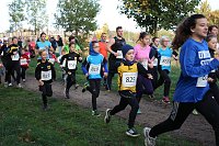 Stadtparklauf in Sondershausen (2) Bild: Stadtparklauf in Sondershausen (2)