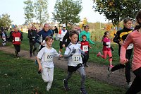 Stadtparklauf in Sondershausen (2) Bild: Stadtparklauf in Sondershausen (2)