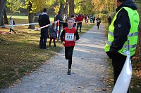 Stadtparklauf in Sondershausen (2) Bild: Stadtparklauf in Sondershausen (2)