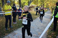 Stadtparklauf in Sondershausen (2) Bild: Stadtparklauf in Sondershausen (2)