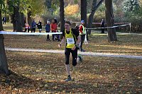 Stadtparklauf in Sondershausen (2) Bild: Stadtparklauf in Sondershausen (2)