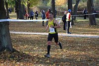 Stadtparklauf in Sondershausen (2) Bild: Stadtparklauf in Sondershausen (2)