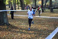 Stadtparklauf in Sondershausen (2) Bild: Stadtparklauf in Sondershausen (2)