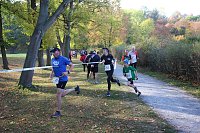 Stadtparklauf in Sondershausen (2) Bild: Stadtparklauf in Sondershausen (2)