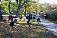 Stadtparklauf in Sondershausen (2) Bild: Stadtparklauf in Sondershausen (2)