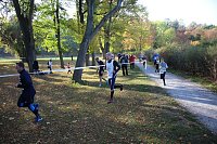 Stadtparklauf in Sondershausen (2) Bild: Stadtparklauf in Sondershausen (2)