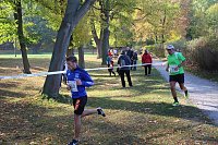 Stadtparklauf in Sondershausen (2) Bild: Stadtparklauf in Sondershausen (2)