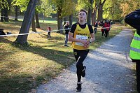 Stadtparklauf in Sondershausen (2) Bild: Stadtparklauf in Sondershausen (2)