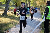 Stadtparklauf in Sondershausen (2) Bild: Stadtparklauf in Sondershausen (2)
