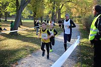 Stadtparklauf in Sondershausen (2) Bild: Stadtparklauf in Sondershausen (2)