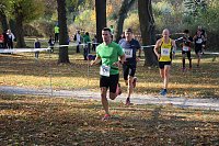 Stadtparklauf in Sondershausen (2) Bild: Stadtparklauf in Sondershausen (2)
