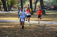Stadtparklauf in Sondershausen (2) Bild: Stadtparklauf in Sondershausen (2)