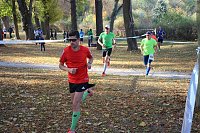 Stadtparklauf in Sondershausen (2) Bild: Stadtparklauf in Sondershausen (2)