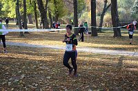 Stadtparklauf in Sondershausen (2) Bild: Stadtparklauf in Sondershausen (2)