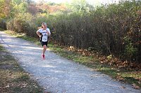 Stadtparklauf in Sondershausen (2) Bild: Stadtparklauf in Sondershausen (2)
