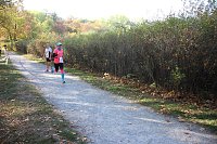 Stadtparklauf in Sondershausen (2) Bild: Stadtparklauf in Sondershausen (2)