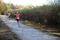 Stadtparklauf in Sondershausen (2) Bild: Stadtparklauf in Sondershausen (2)